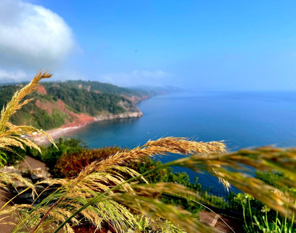 Rooms At Babbacombe Torquay Dış mekan fotoğraf